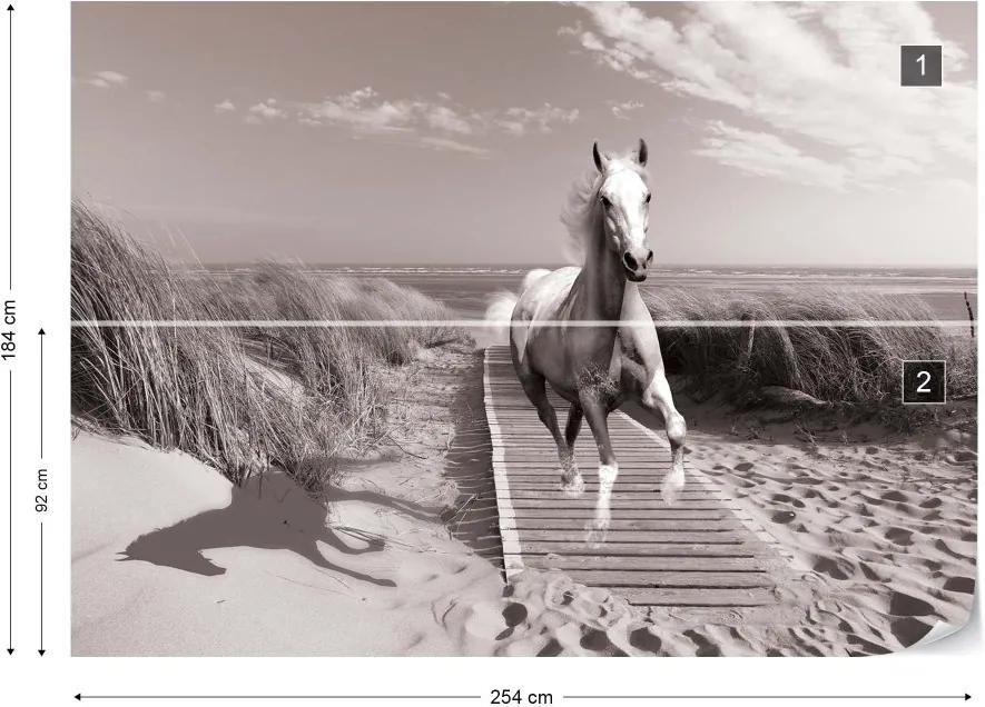 GLIX Fototapet - White Horse Beach Black And White Vliesová tapeta  - 254x184 cm