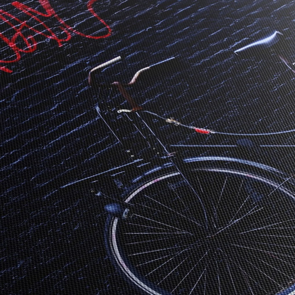 Tablou cu carusel din Amsterdam (120x50 cm)