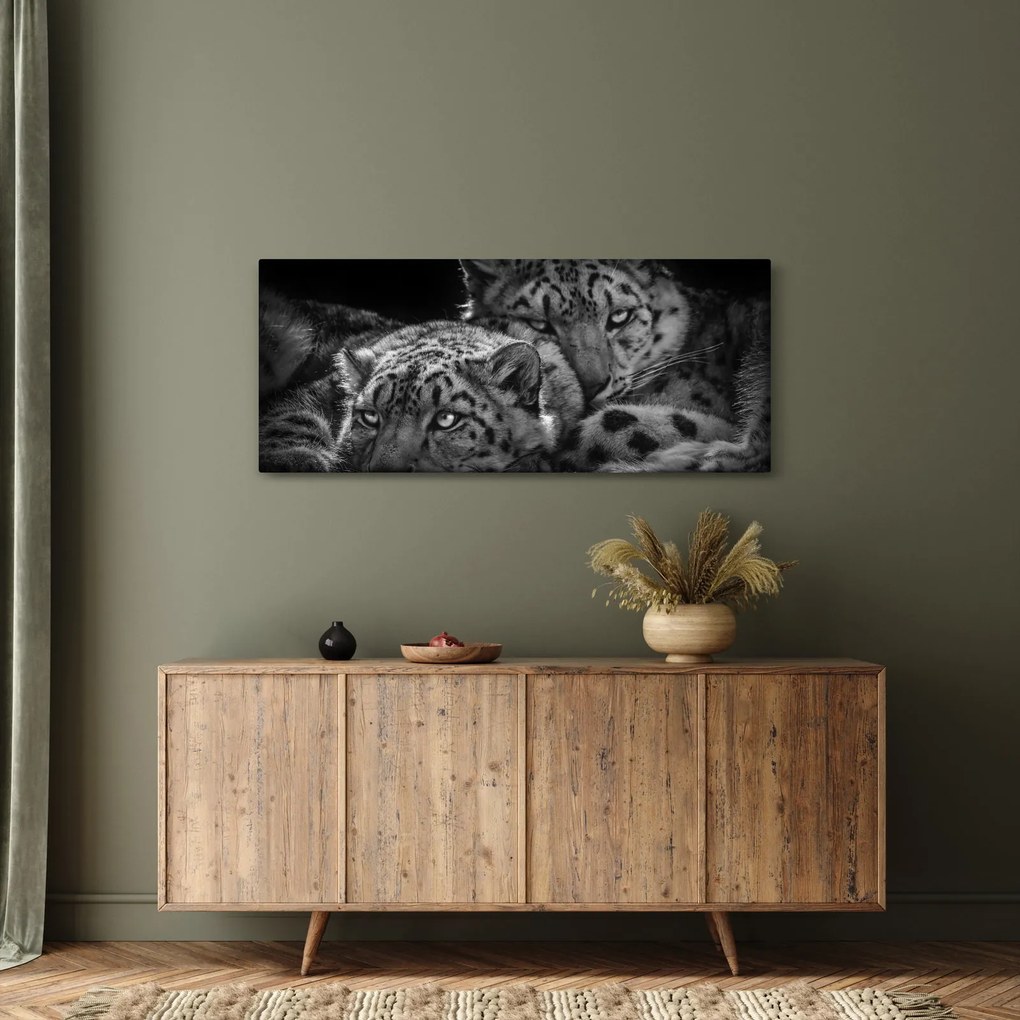 Tablou - Gheparzi care se odihnesc (120x50 cm)