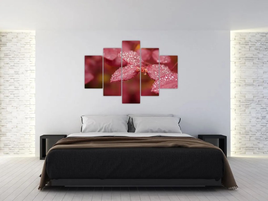Tablou - Imagine macro a biletului (150x105 cm)