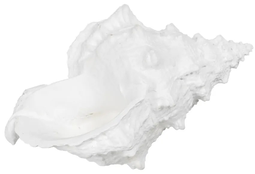 Statuetă din polirășină (înălțime 12 cm) Seashell – Ixia