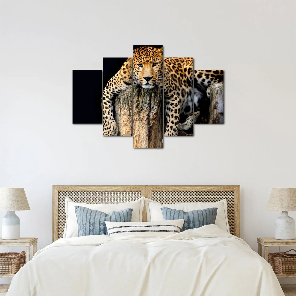 Tablou - Ghepard (150x105 cm)