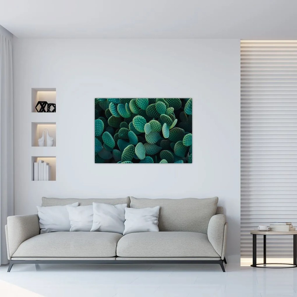 Tablou - Opuntia (90x60 cm)