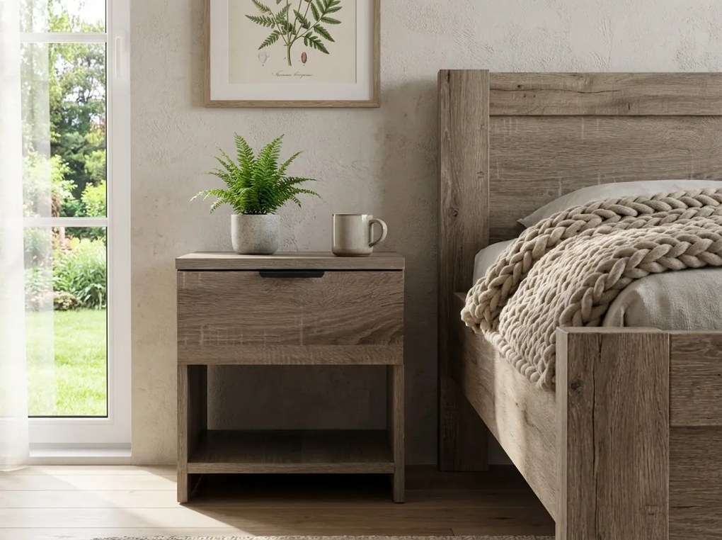 Noptiera stejar trufa, HAVANA