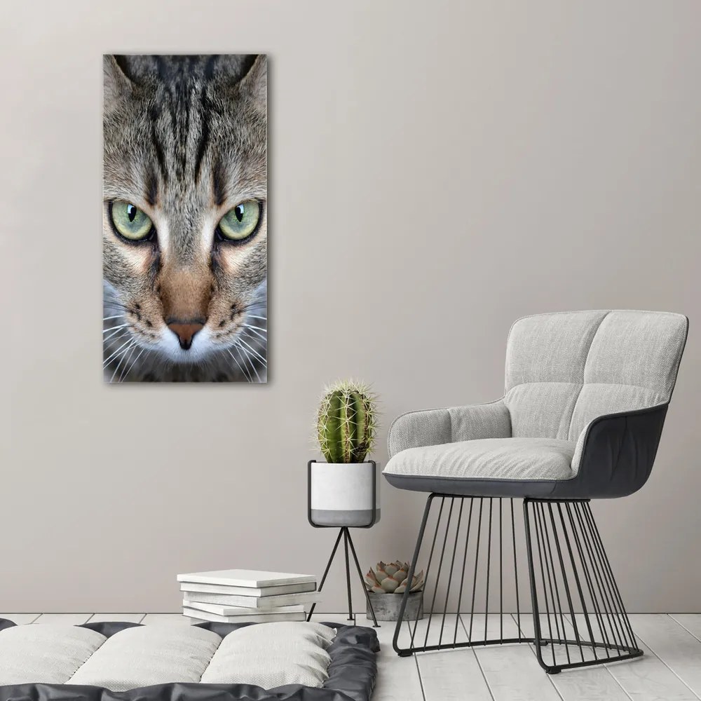 Imprimare tablou canvas Ochi de pisica