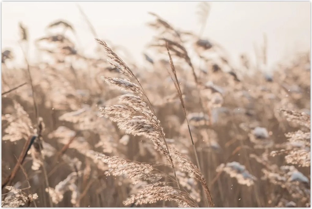 Tablou - Adiere de luncă (90x60 cm)