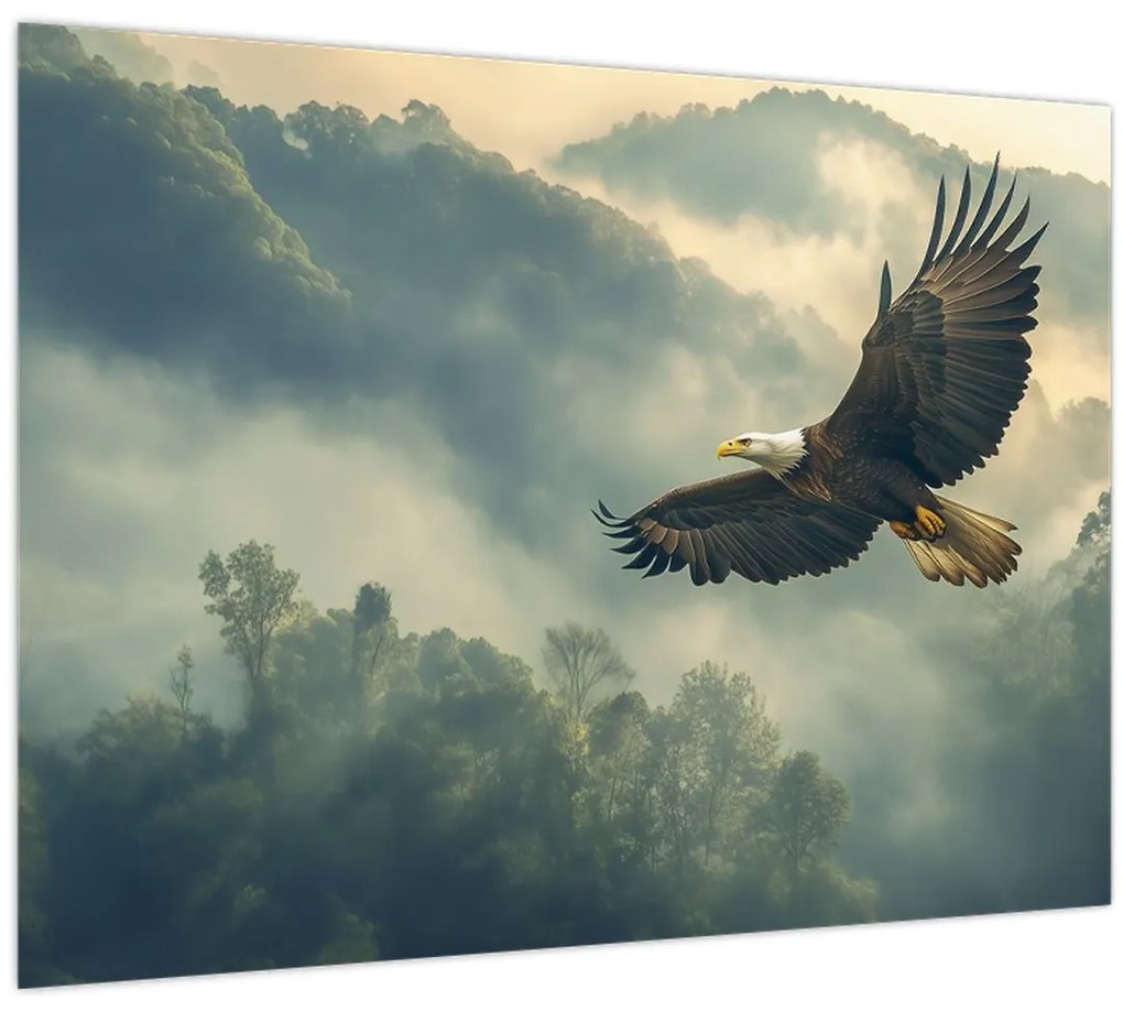 Tablou pe sticlă - Vultur în zbor (70x50 cm)