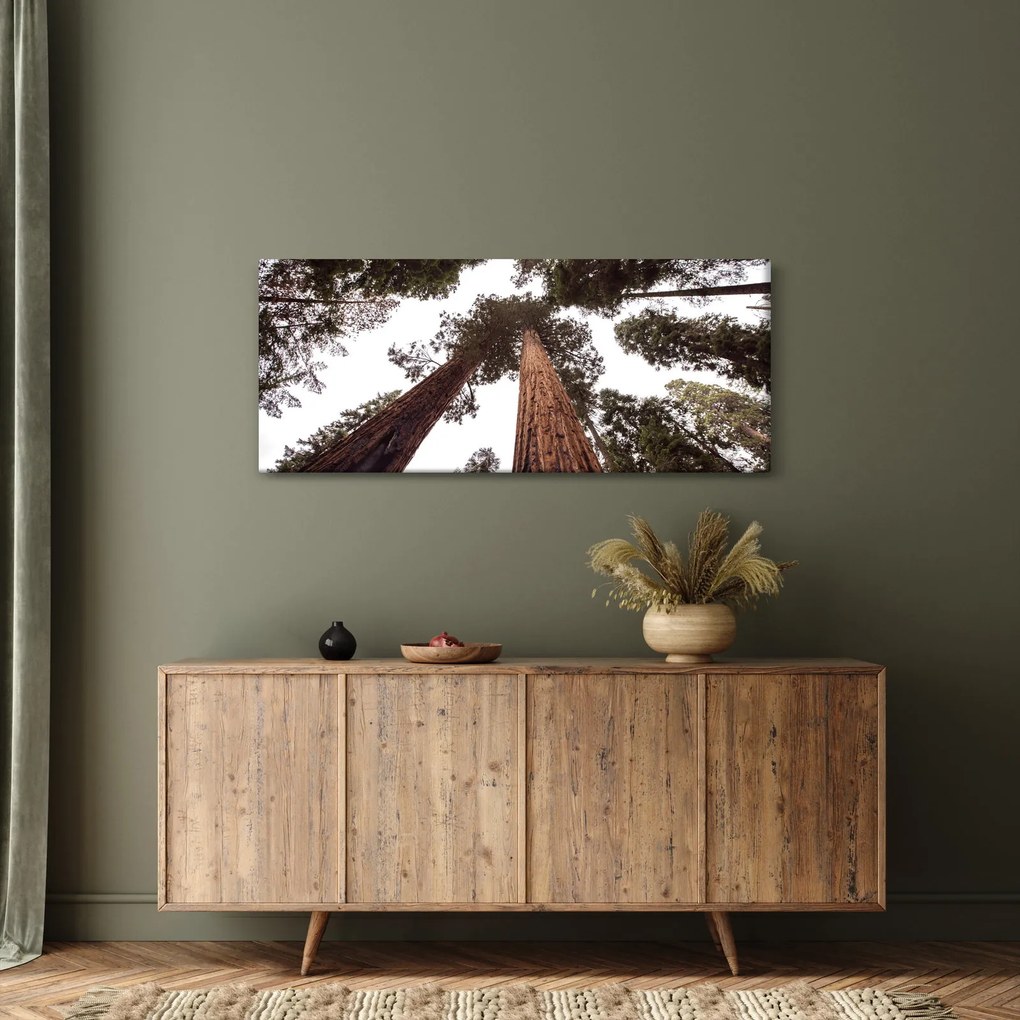 Tablou - Privire prin vârfurile copacilor (120x50 cm)