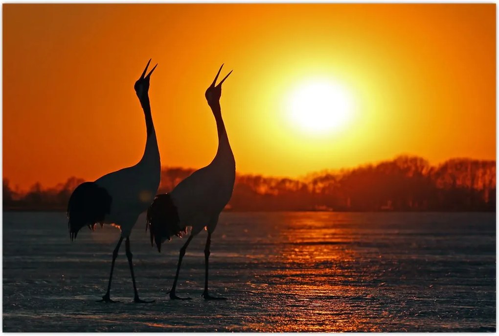 Tablou cu păsări în apus de soare (90x60 cm)