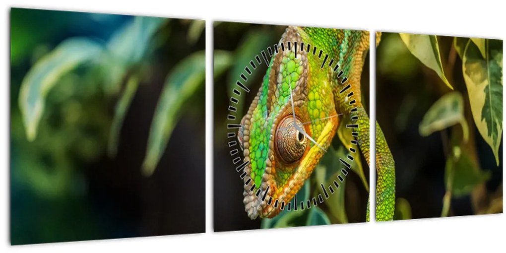 Tablou cu cameleon (cu ceas) (90x30 cm)