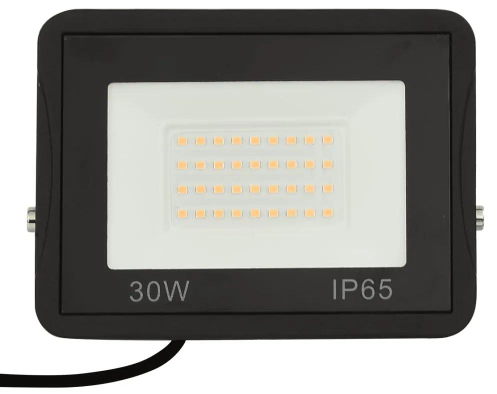 Proiector cu LED, 30 W, alb rece Alb rece, 30 w, 1, 30 w