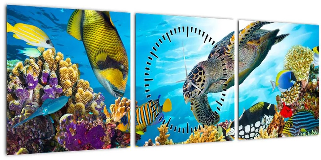 Tablou - Recif de corali (cu ceas) (90x30 cm)