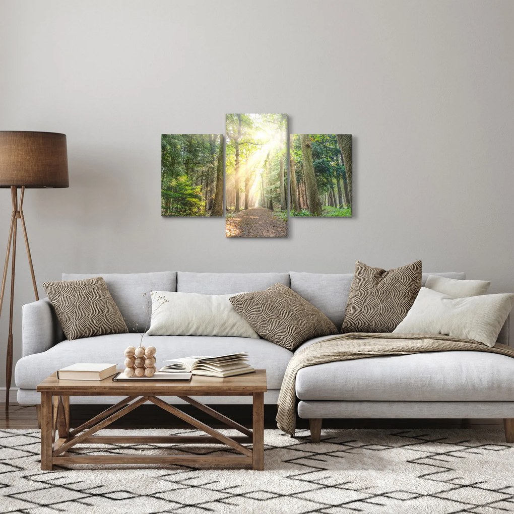 Tablou - Poteci în pădure (90x60 cm)
