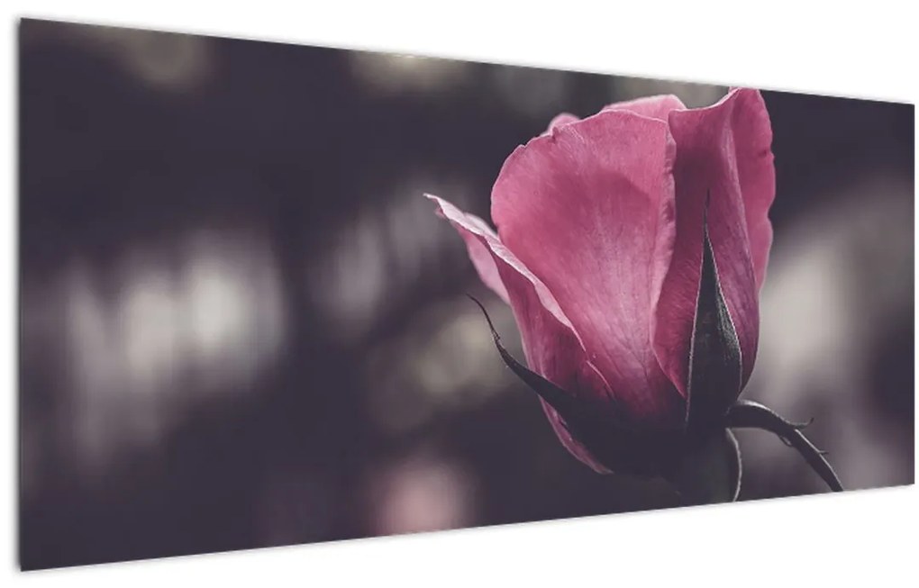 Tablou - Detaliu florii de trandafir (120x50 cm)