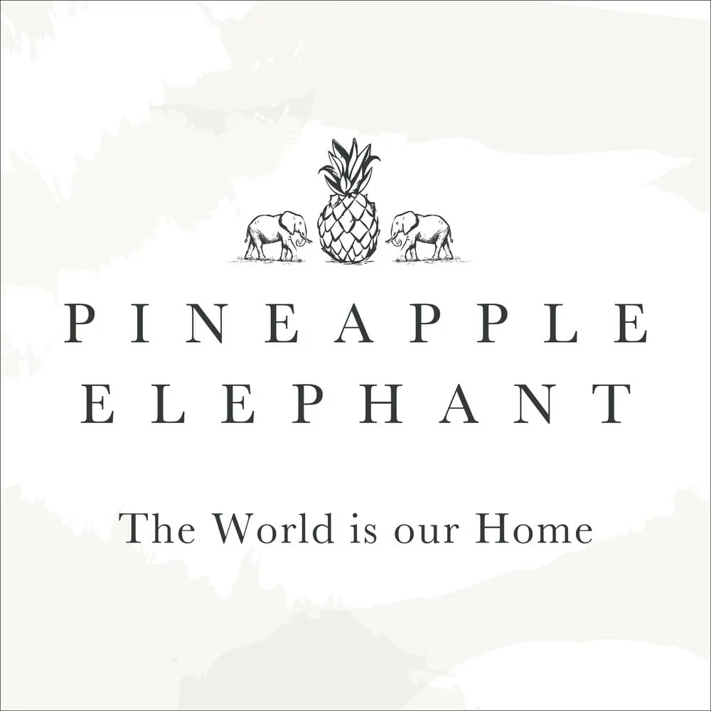 Perdea teracotă 140x229 cm Zanzibar Stripe – Pineapple Elephant