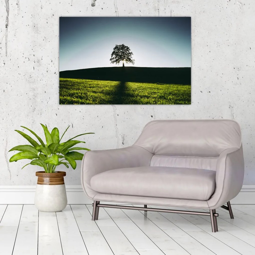 Tablou cu natura - copac (90x60 cm)