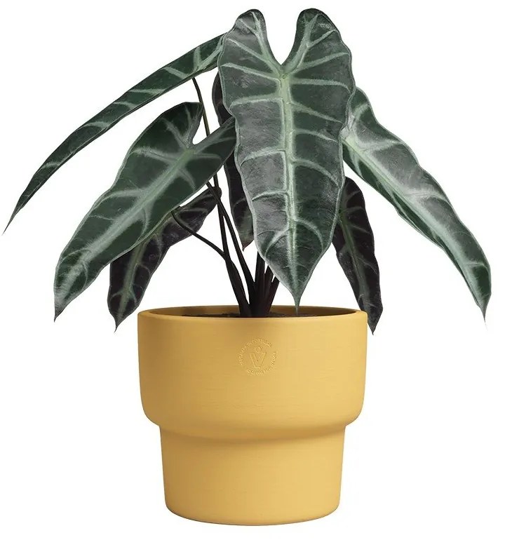 Ghiveci din ceramică făcut manual ø 17 cm Echo – Artevasi