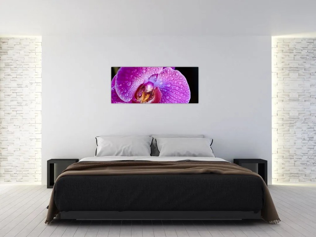 Tablou detailat cu floare de orhidee (120x50 cm)