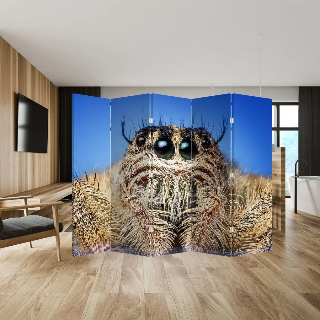 Paravan - Detalii a unui pâianjen (210x170 cm)