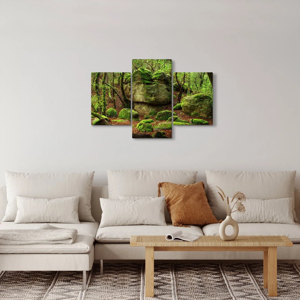 Tablou cu pădurea fermecată (90x60 cm)