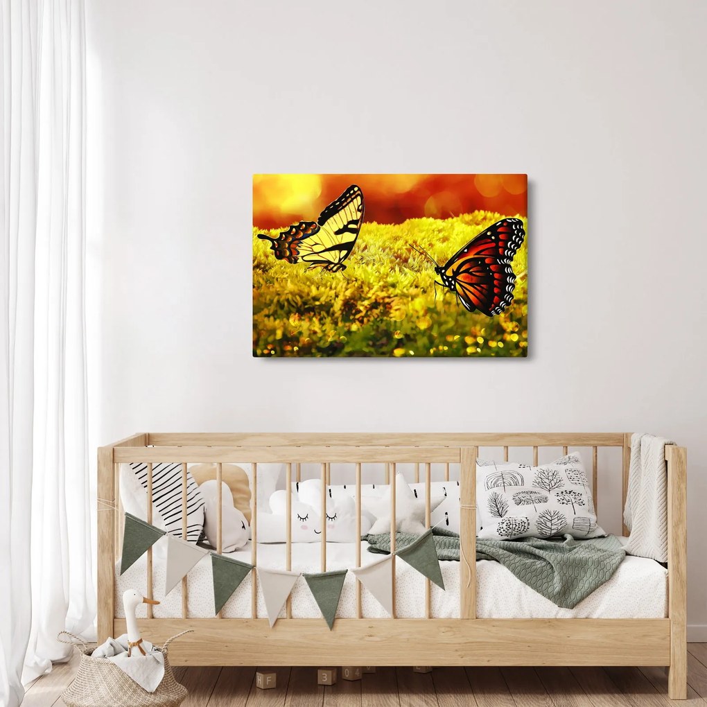 Tablou cu fluturi (90x60 cm)