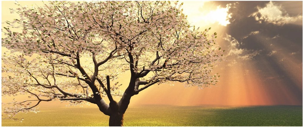 Tablou cu copac pe luncă (120x50 cm)