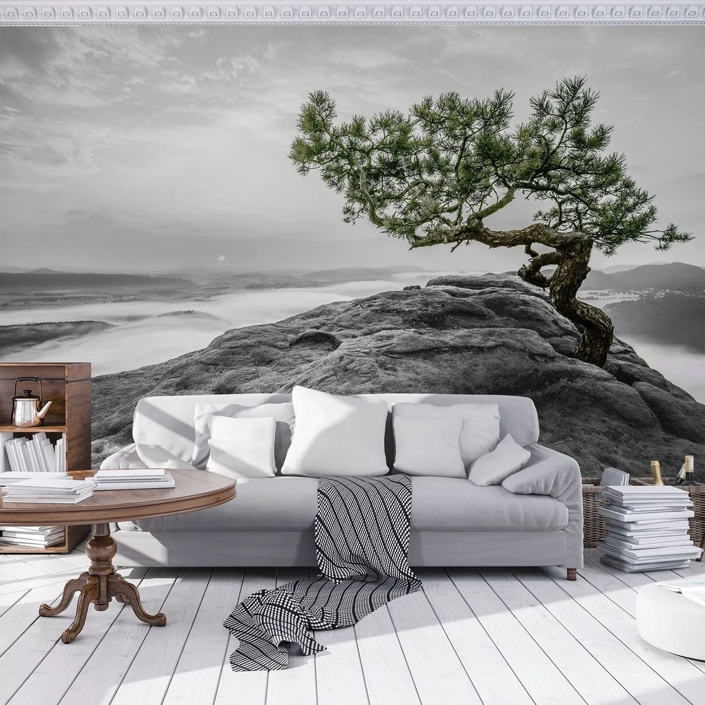 Fototapet - Copac pe stânci (152,5x104 cm)