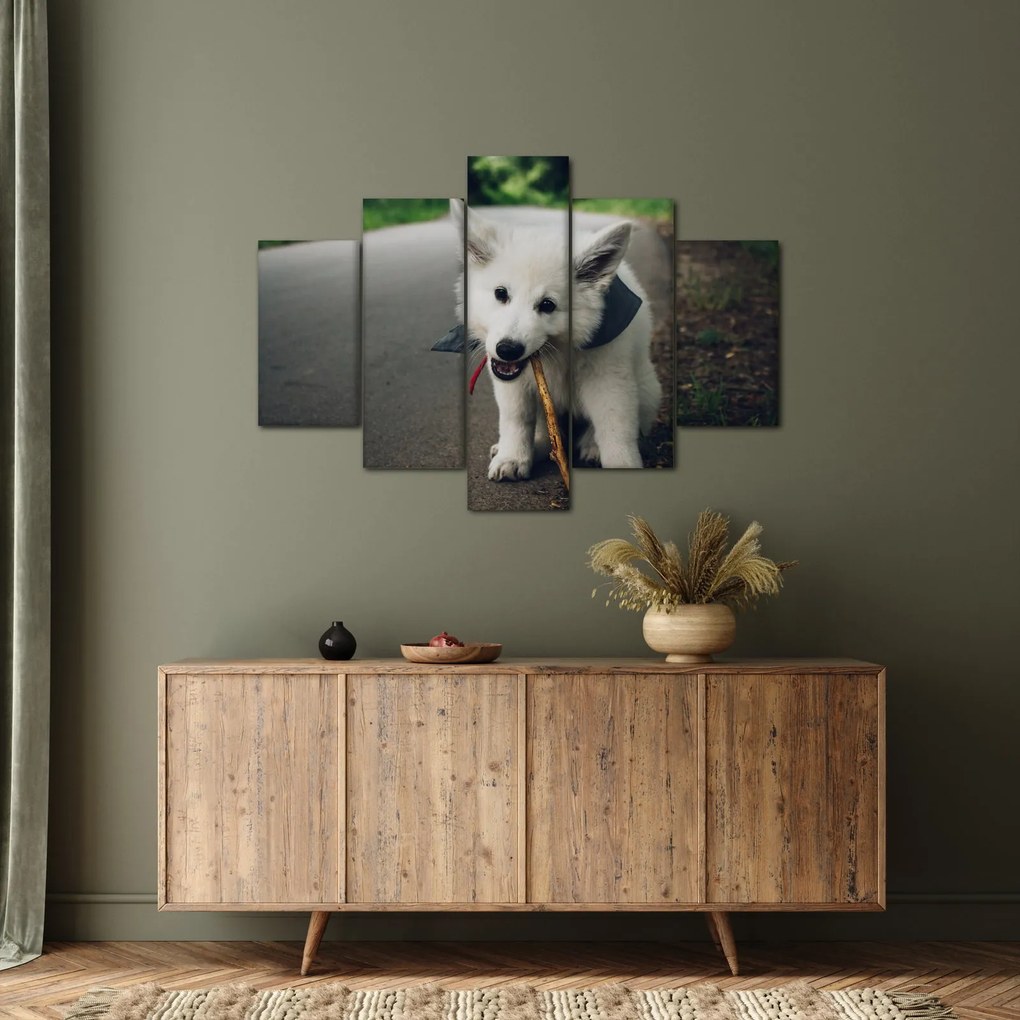 Tablou cu câinele alb (150x105 cm)