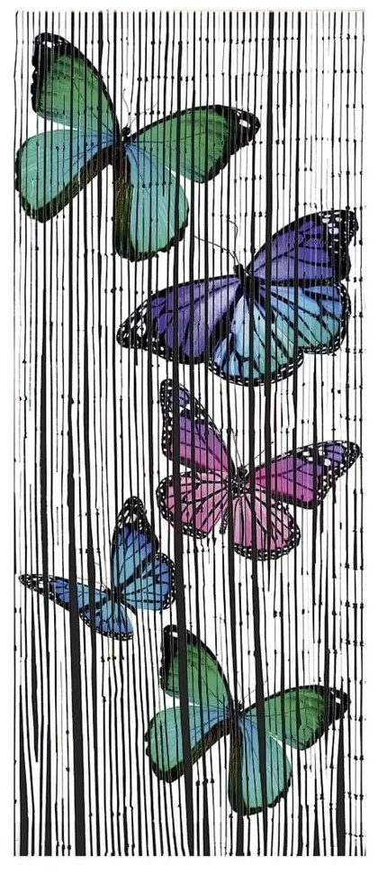 Perdea de ușă din bambus 200x90 cm Butterflies - Maximex