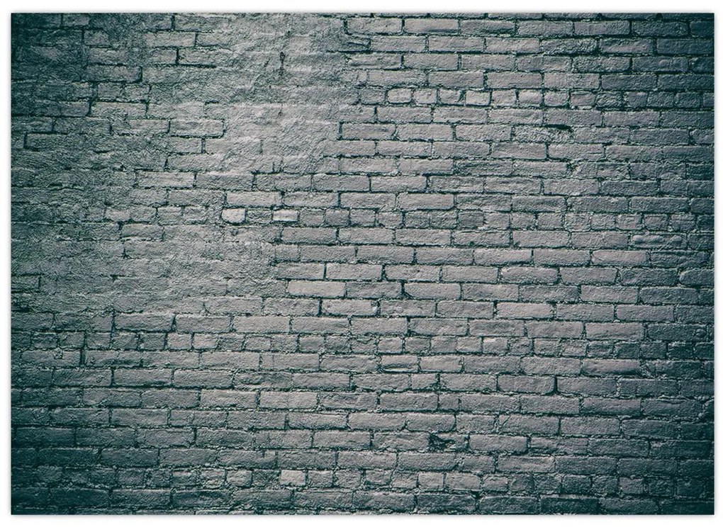 Tabloul cu perete din cărămidă (70x50 cm)