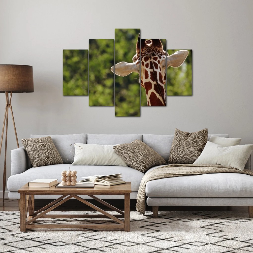 Tablou cu girafă din spate (150x105 cm)