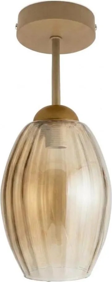 BRILAGI - Plafonieră LED aplicată R GLASS 1xE27/60W/230V Ø 17 cm bej/bej fumuriu