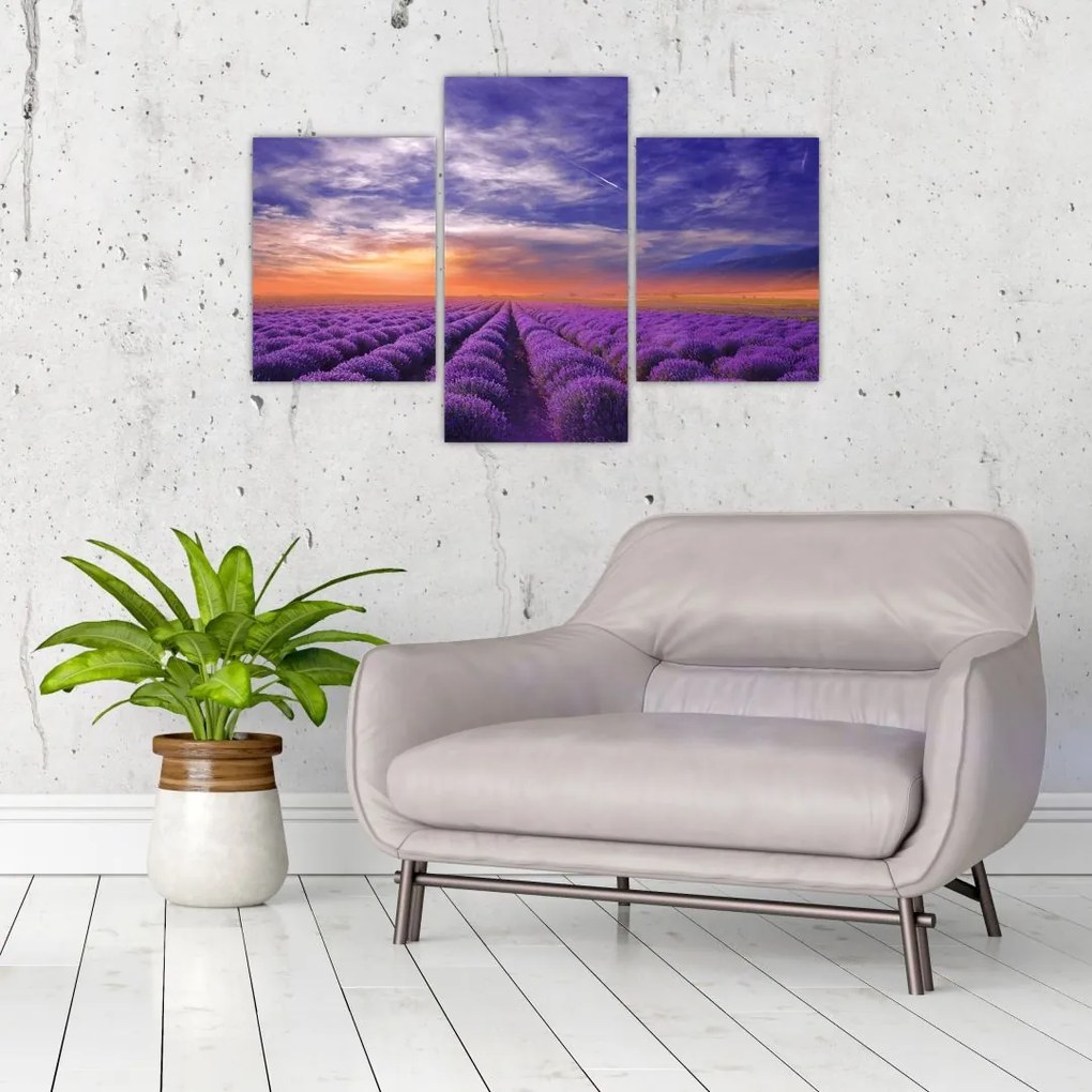 Tablou câmpului cu lavandă (90x60 cm)