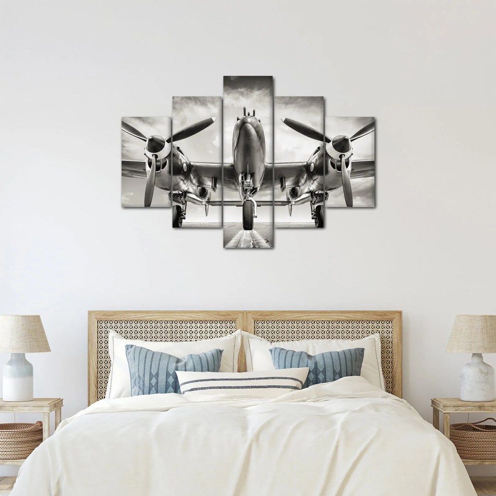 Tablou - Warbird (150x105 cm)