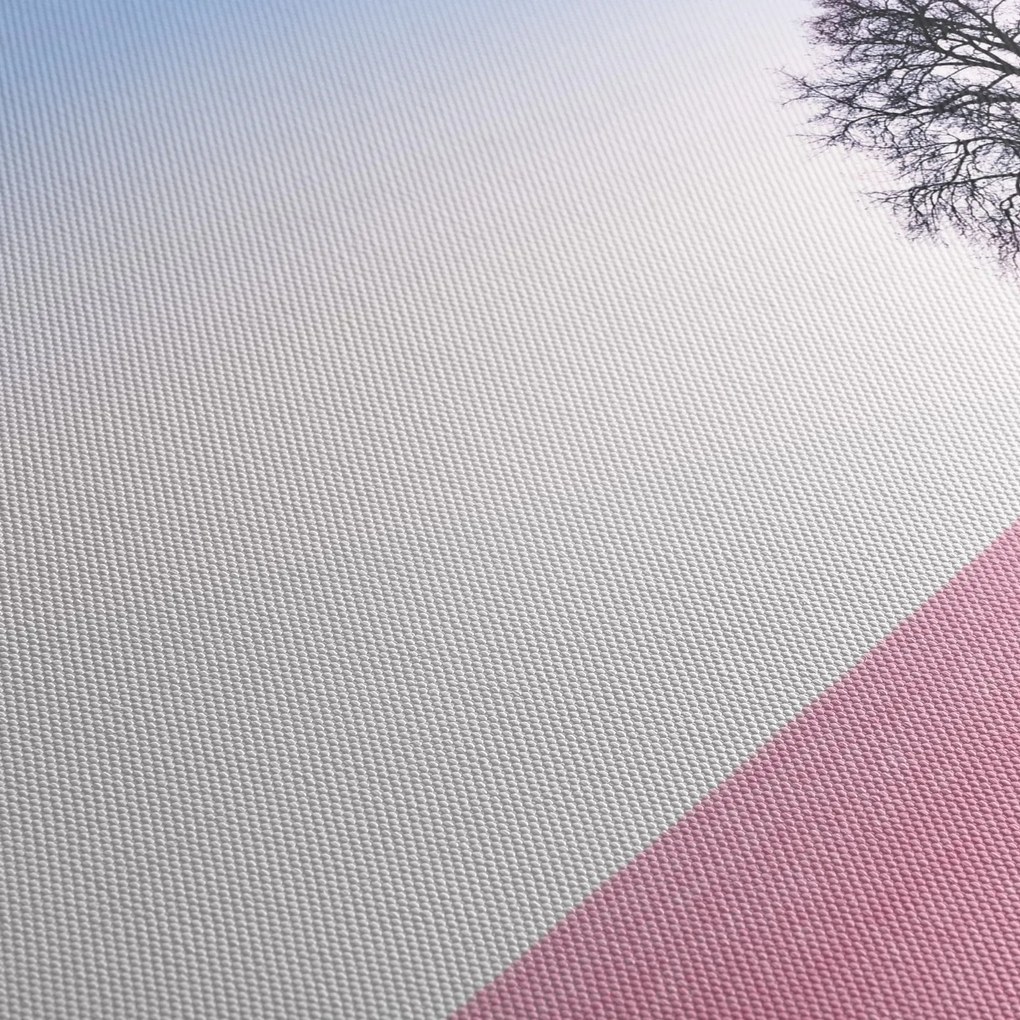Tablou - Visul roz (120x50 cm)