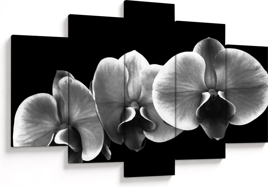 Tablou floare de orhidee (150x105 cm)
