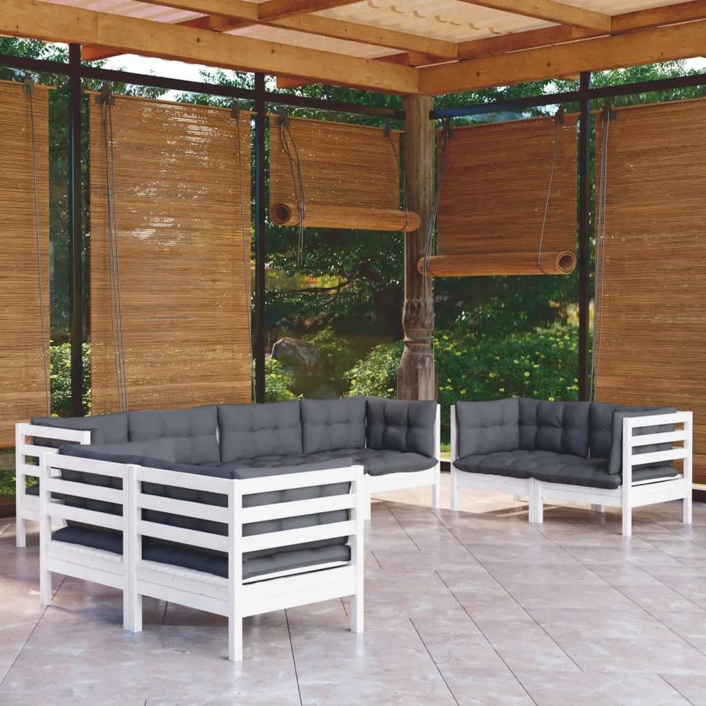 3096269 vidaXL Set mobilier de grădină cu perne, 8 piese, lemn masiv de pin
