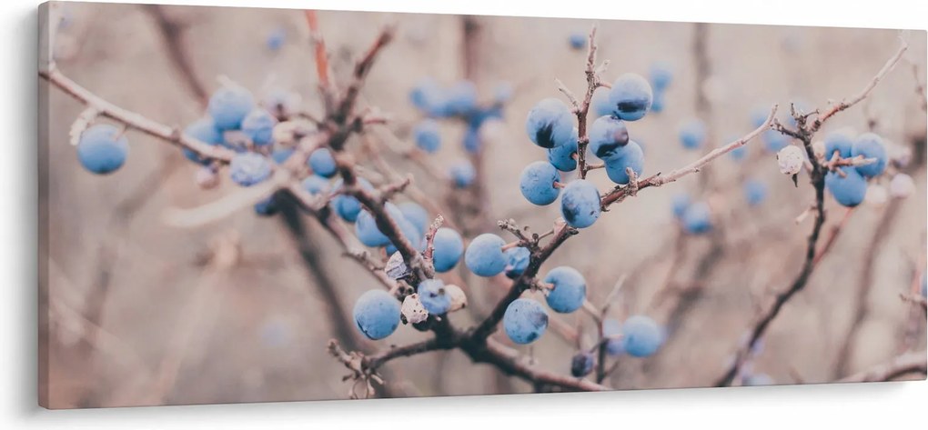 Tablou cu fructe pe tufiș (120x50 cm)