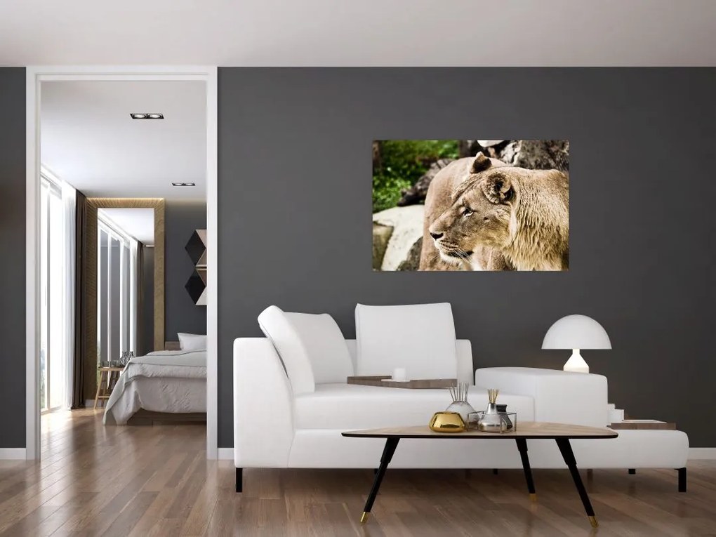 Tablou cu leoaică (90x60 cm)