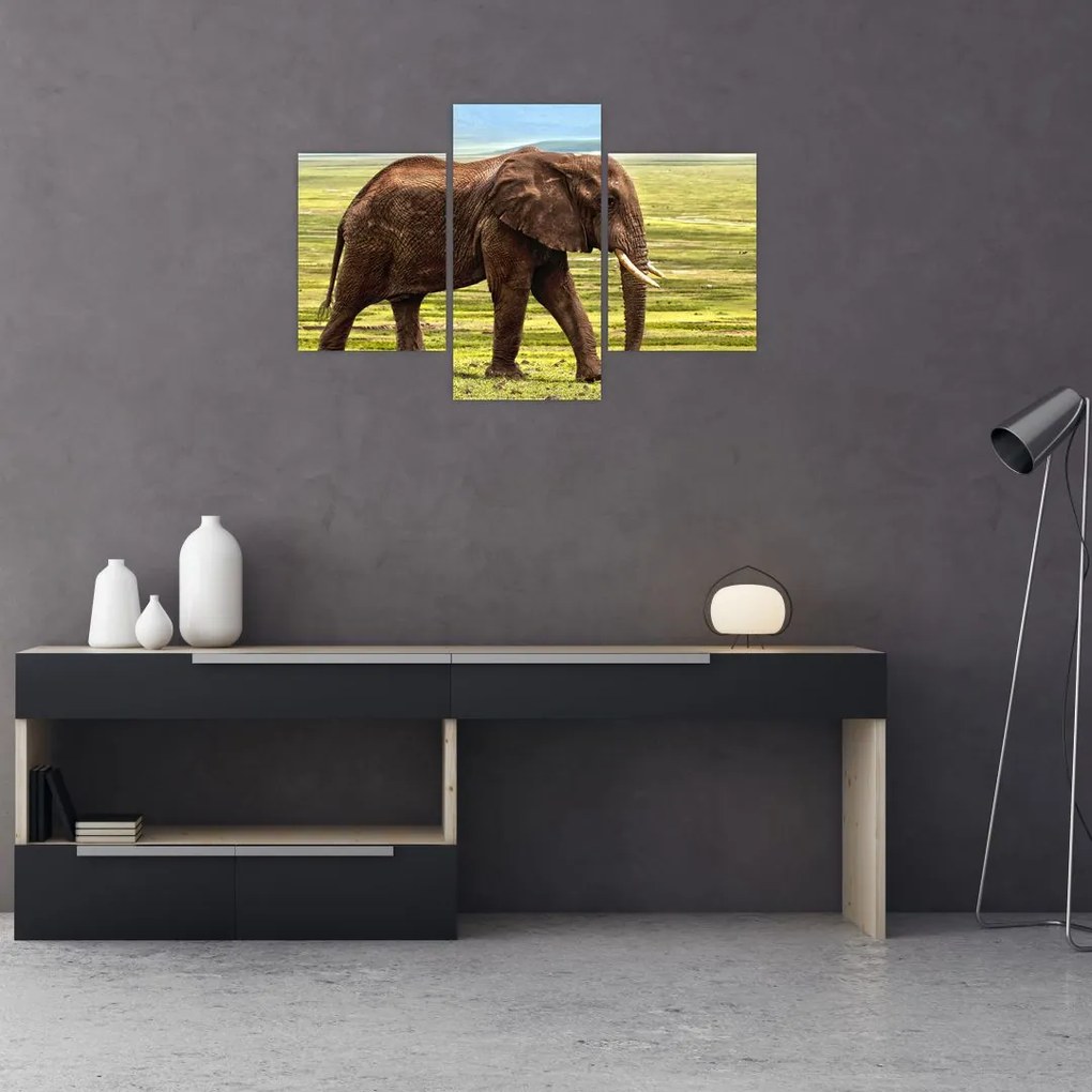 Tablou - Elefantul (90x60 cm)