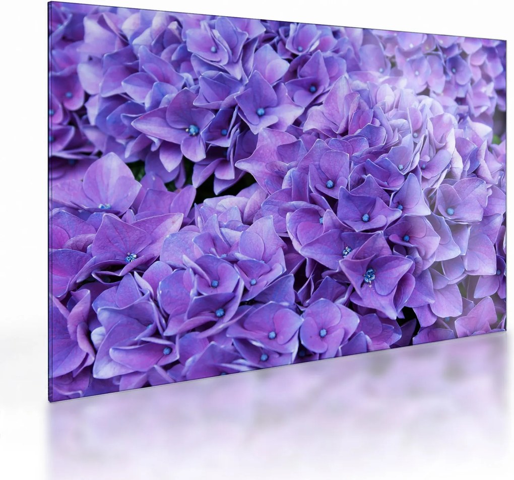 Tablou pe sticlă cu flori violete (70x50 cm)