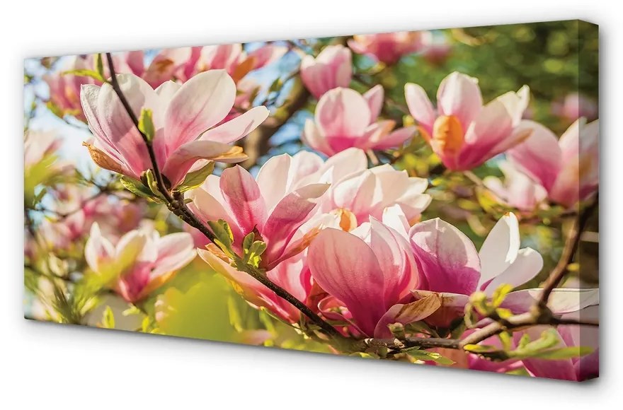 Tablouri canvas magnolie roz