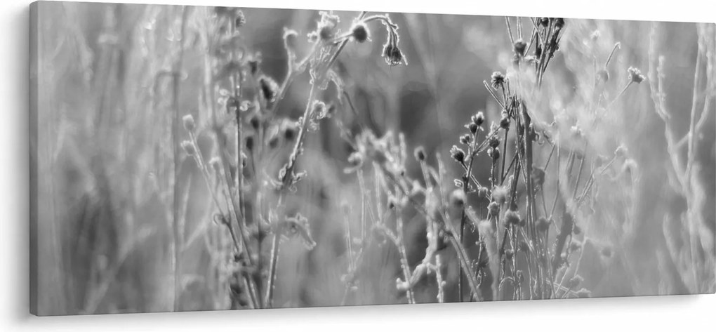 Tablou - Pajiște sălbatică (120x50 cm)