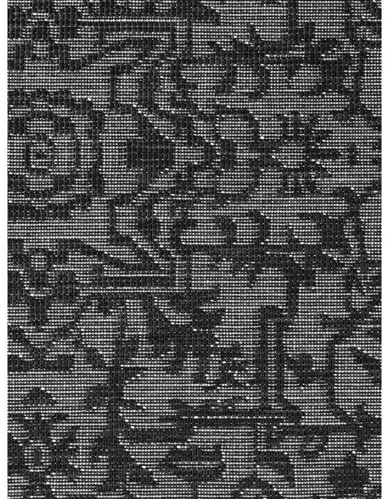 Covor pentru exterior și interior alb-negru 200x290 cm Duet Kona – NORTHRUGS