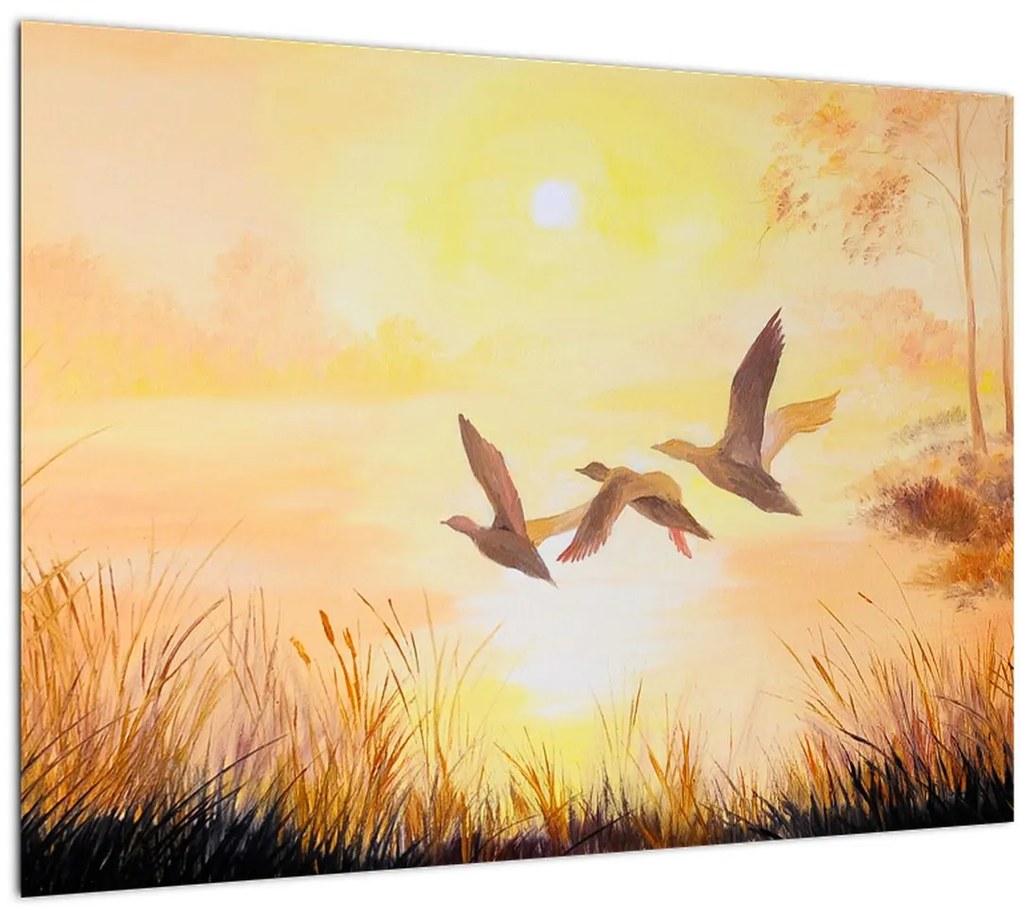 Tablou - Macarale la apus de soare (70x50 cm)