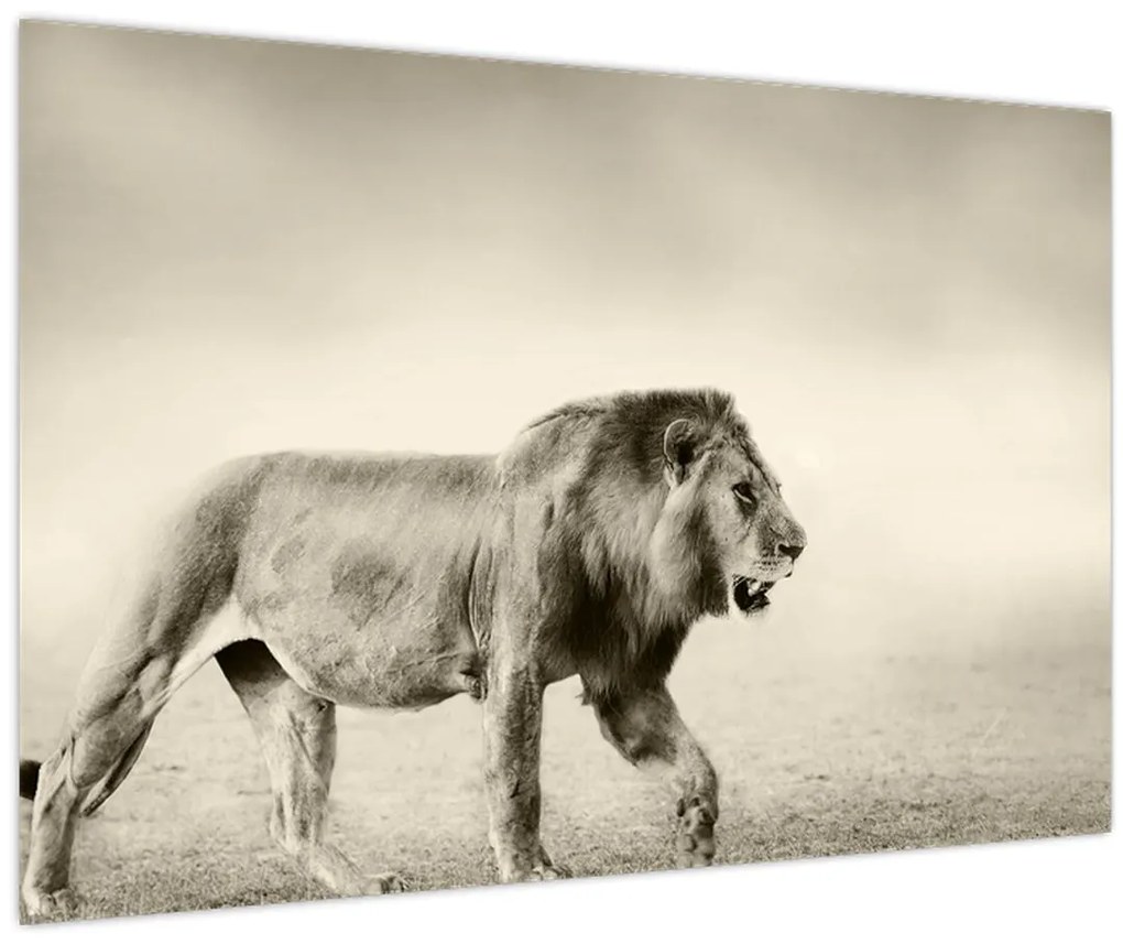 Tablou - Leul flămând (90x60 cm)