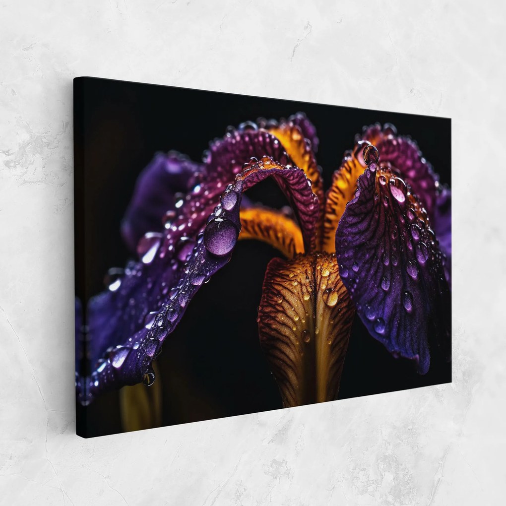 Tablou Canvas, 20x30cm, Dormitor si Living, Flori, Iris, Dark Iris After Rain