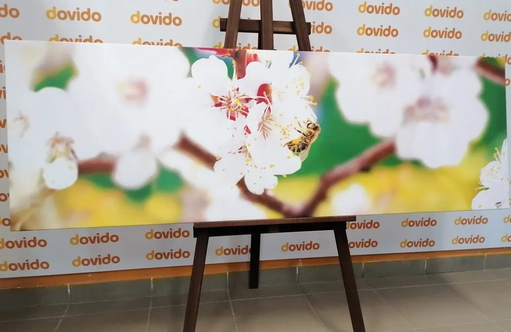 Tablou flori în pom primăvara