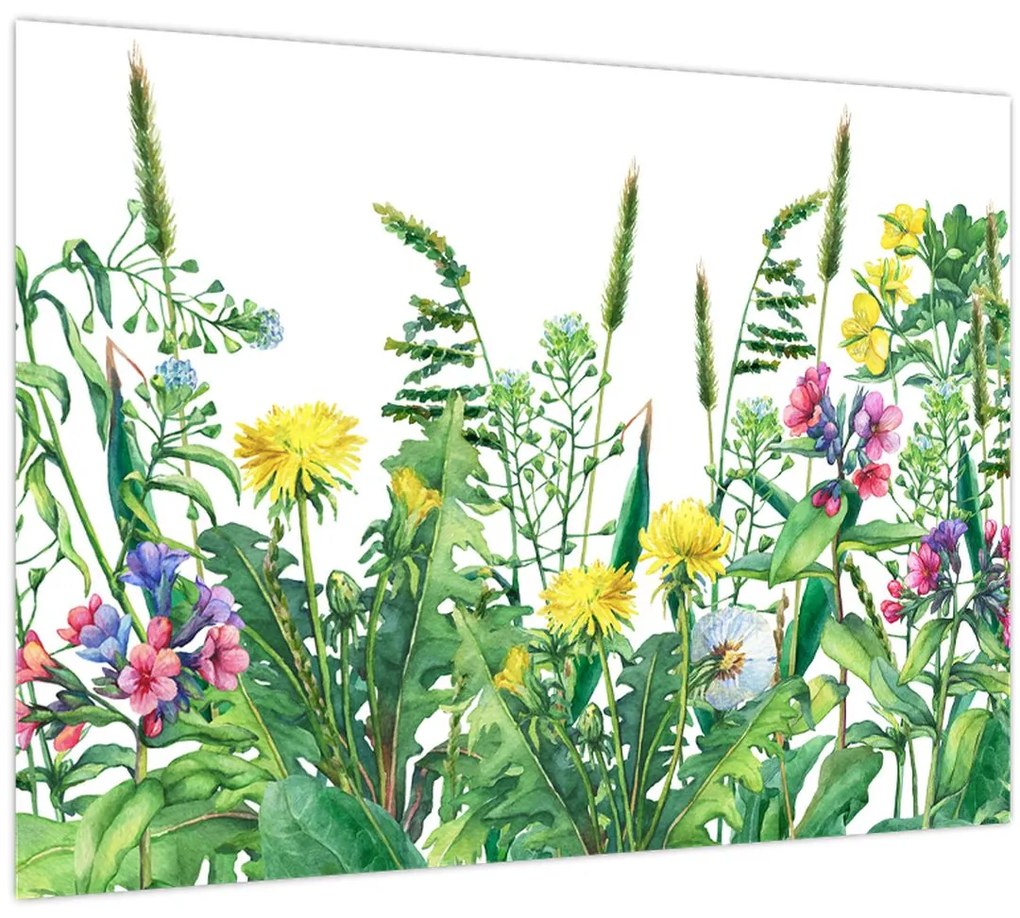 Tablou - Flori de pajiște pictate (70x50 cm)