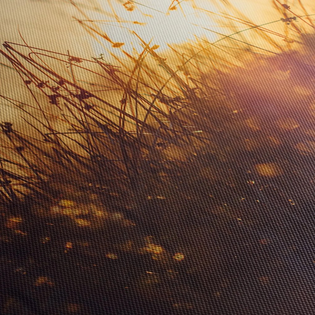 Tablou - Câmp la apus de soare (120x50 cm)